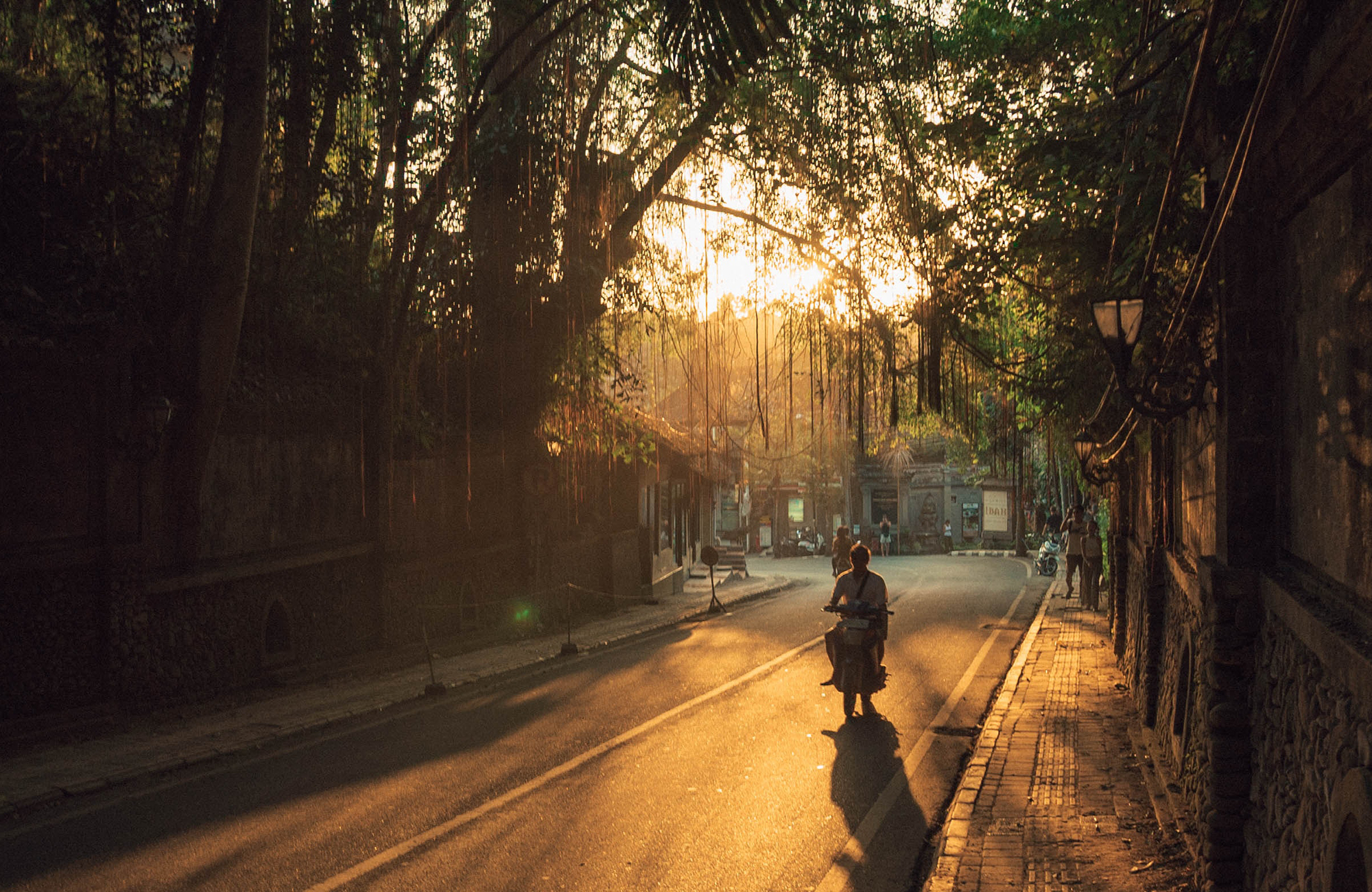Ubud bij zonsondergang | Reizen naar Bali met KILROY