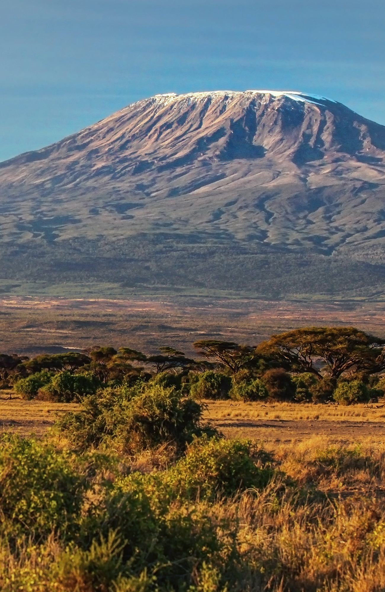 Reizen naar de Kilimanjaro | KILROY