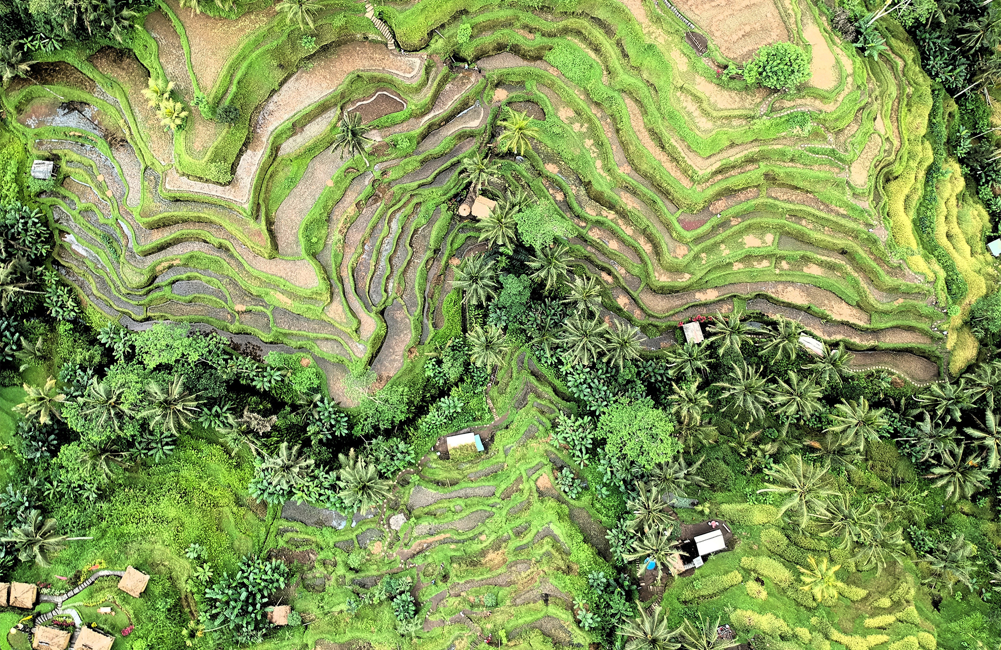 Reis naar Bali met KILROY