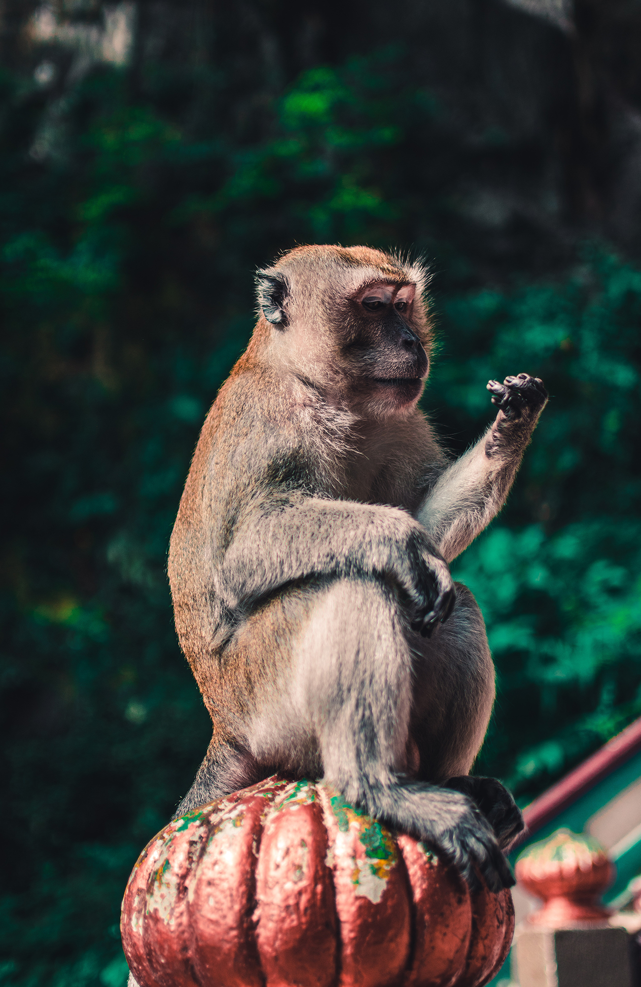 Backpacken in Maleisië met KILROY