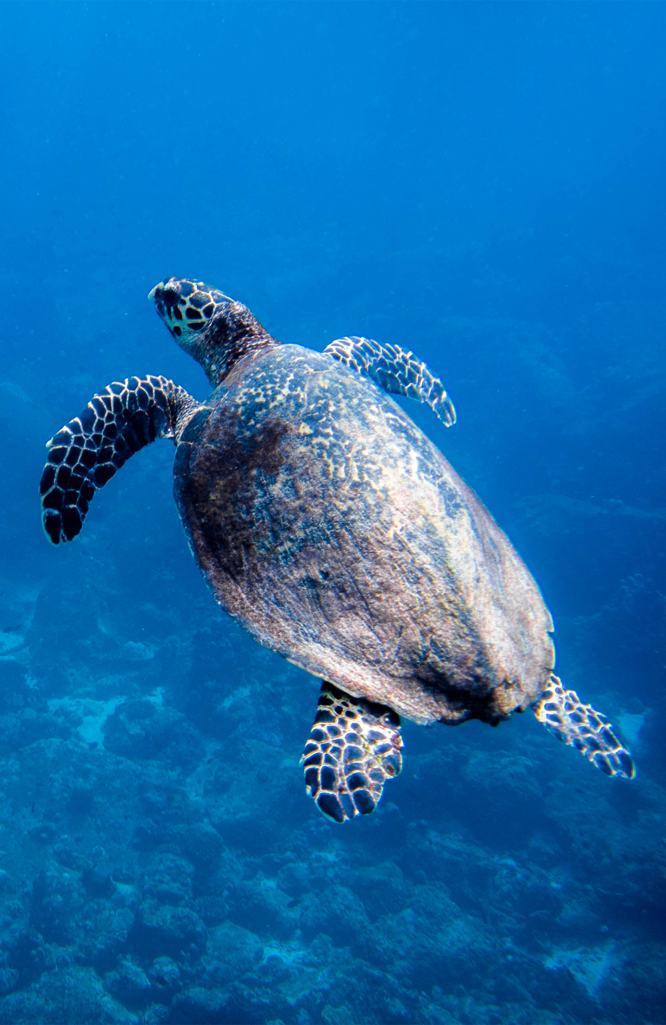 Reizen naar Perhentian Islands, Maleisië met KILROY