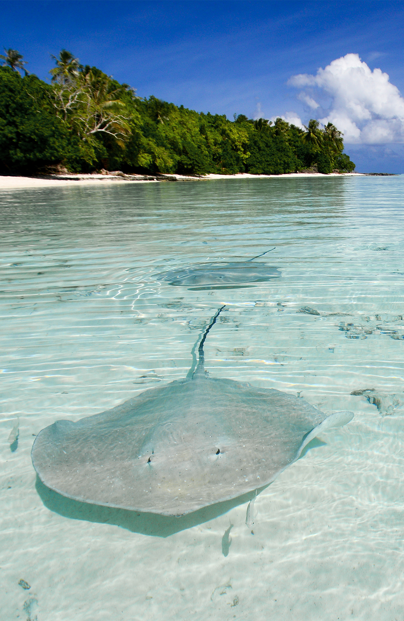 Reizen naar Frans-Polynesië met KILROY