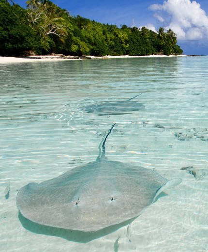 Reizen naar Frans-Polynesië met KILROY