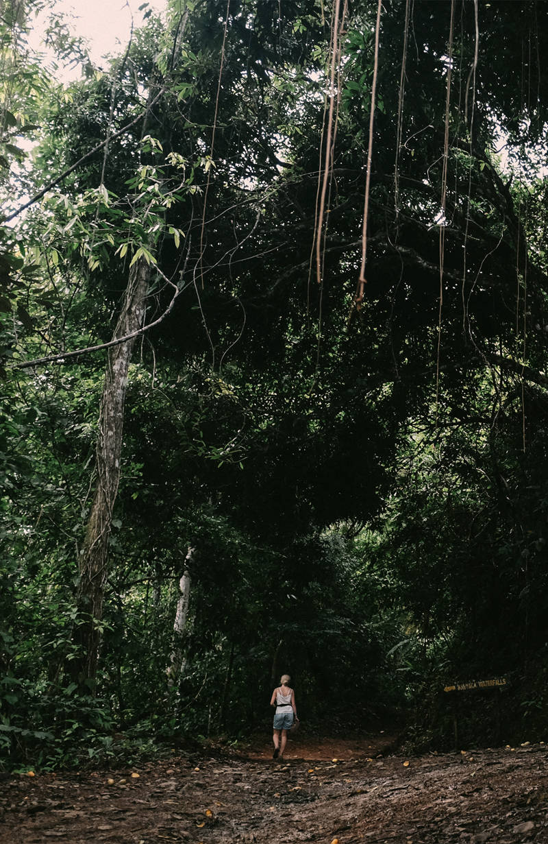 Adventure in Costa Rica