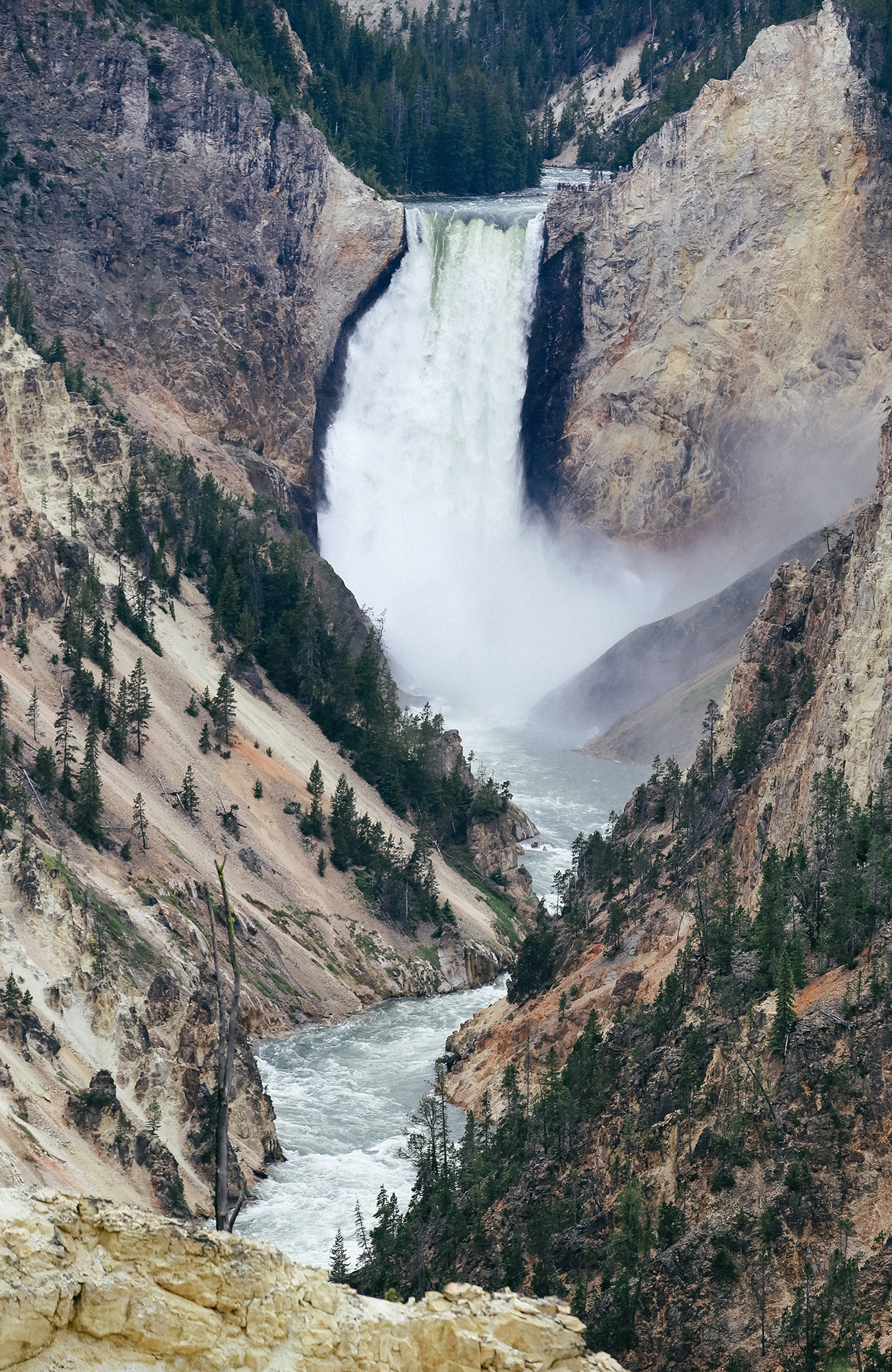 Yellowstone nationaal park USA