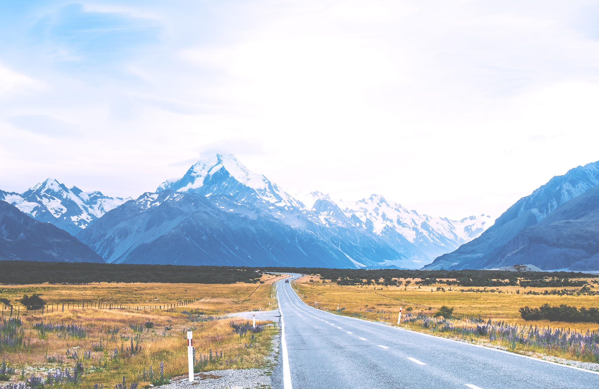 chirstchurch mount cook