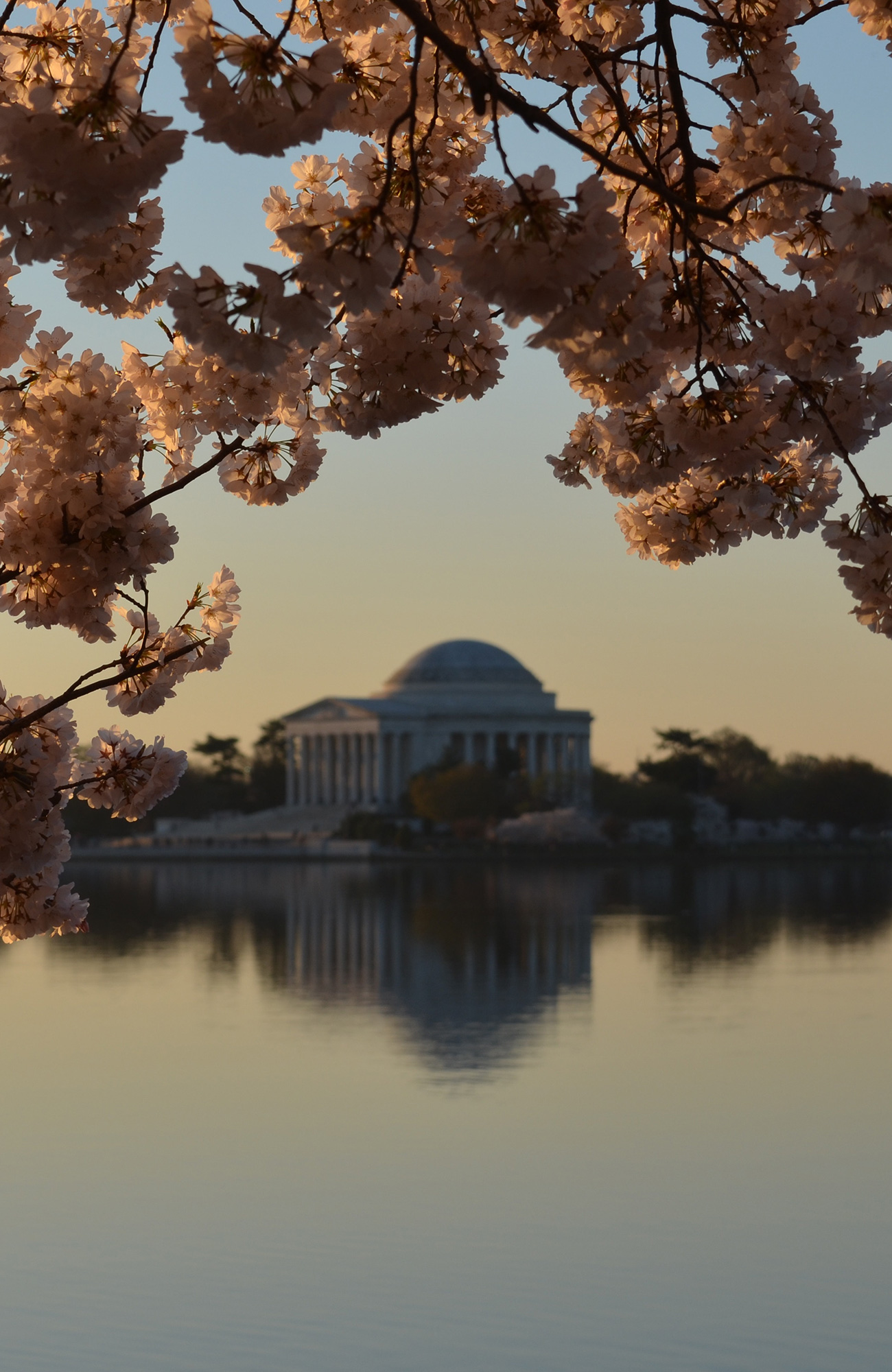 Reizen naar Washington D.C.