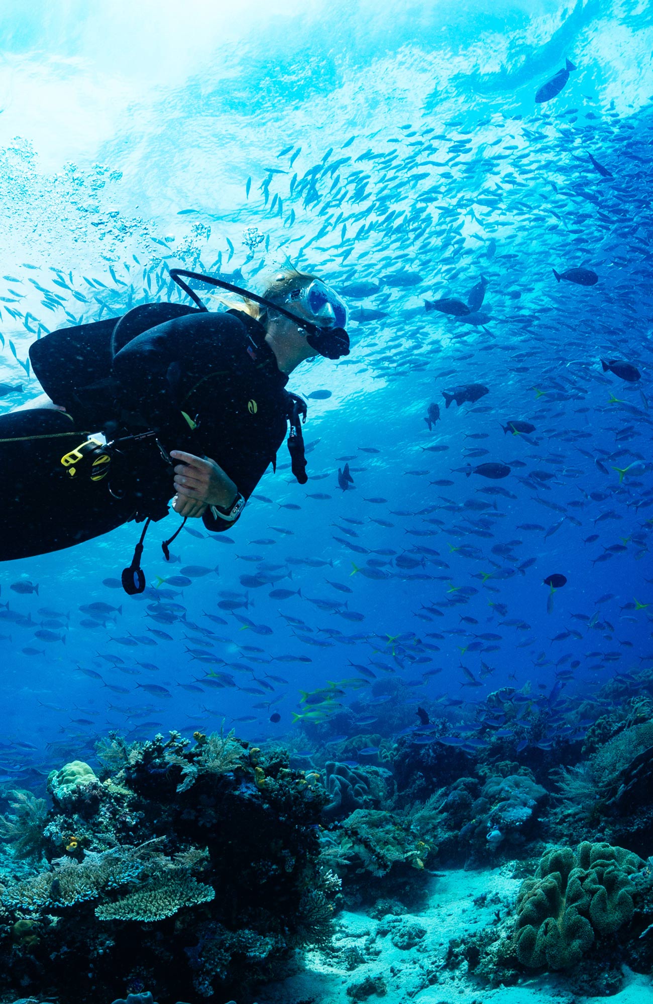 Duiken op de Phi Phi elanden | KILROY