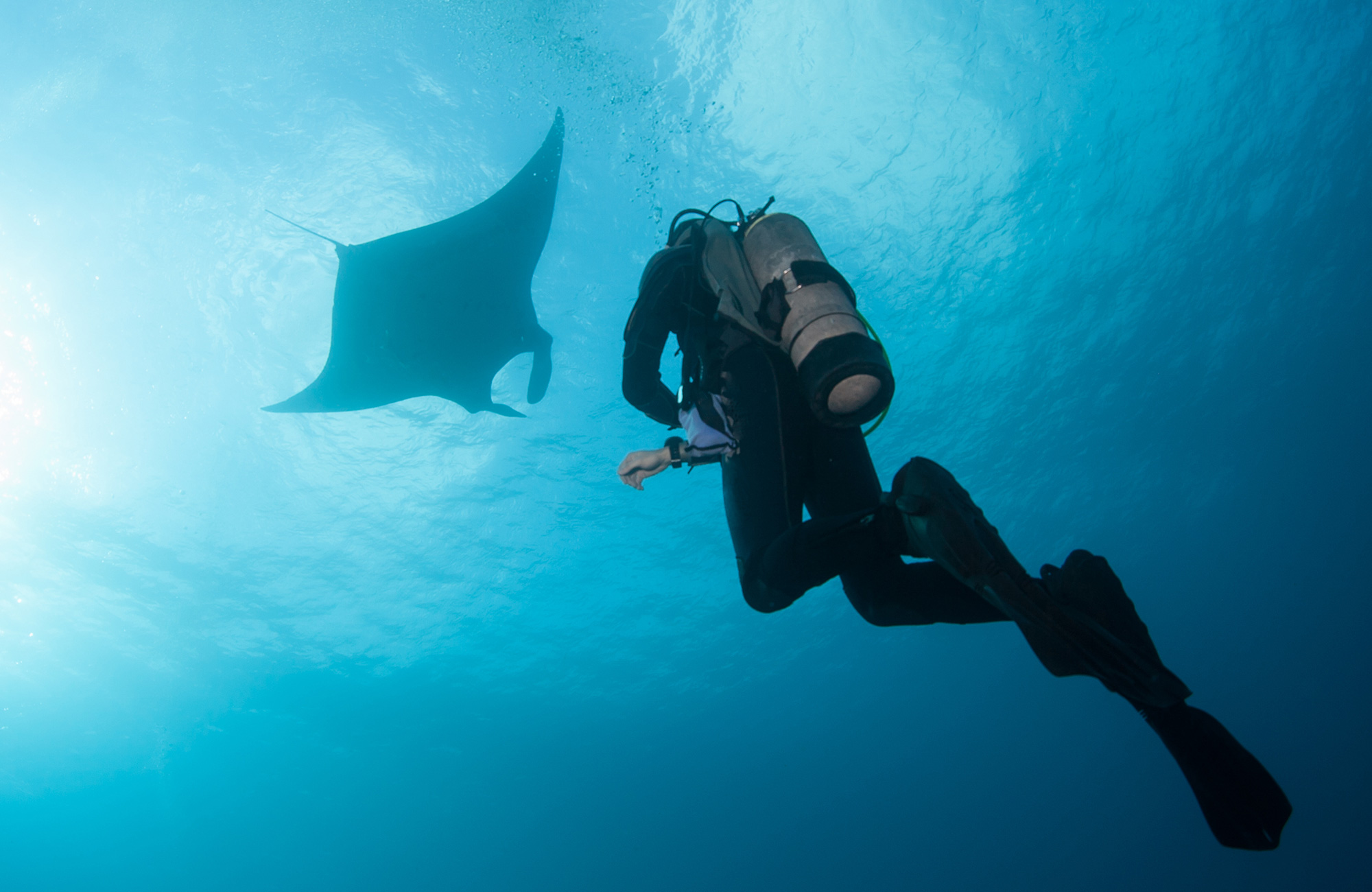 Duiken in Indonesië