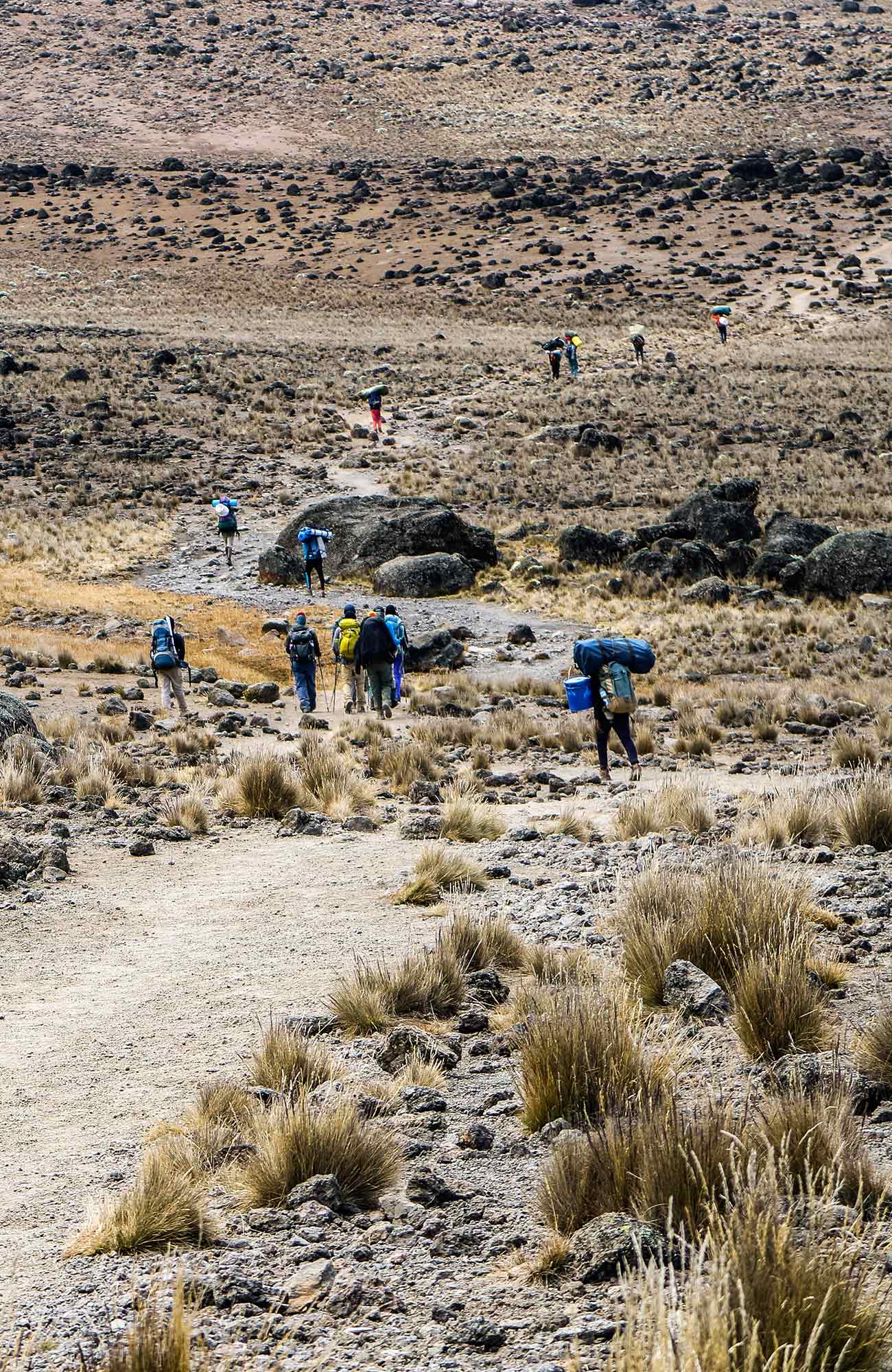 Beklim de Kilimanjaro