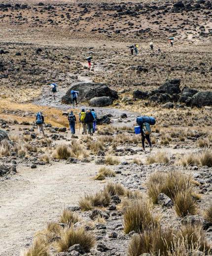 Beklim de Kilimanjaro