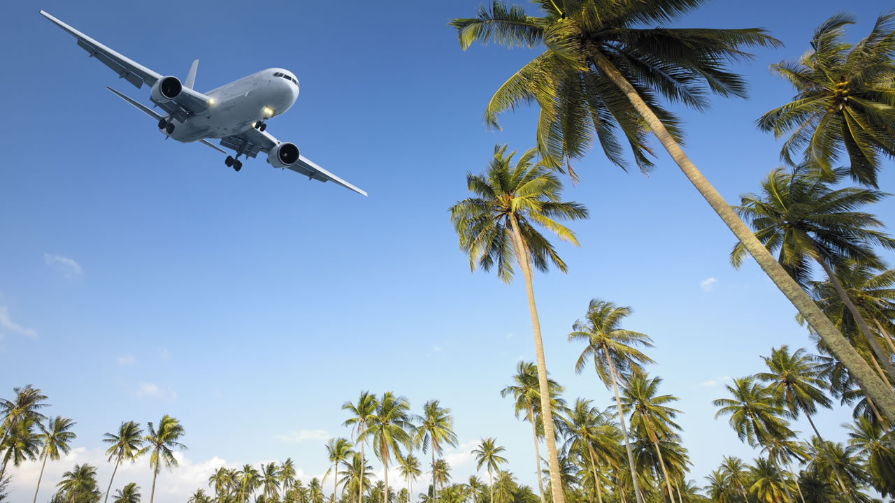flight-plane-palms-cover