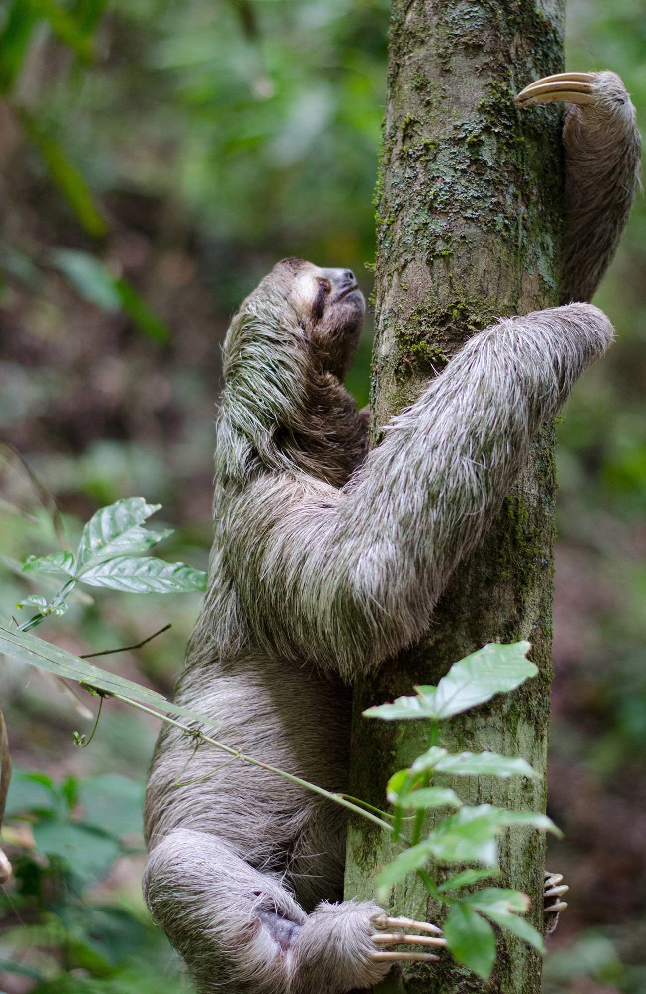 Doe vrijwilligerswerk in Centraal-Amerika