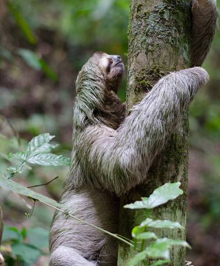 Doe vrijwilligerswerk in Centraal-Amerika