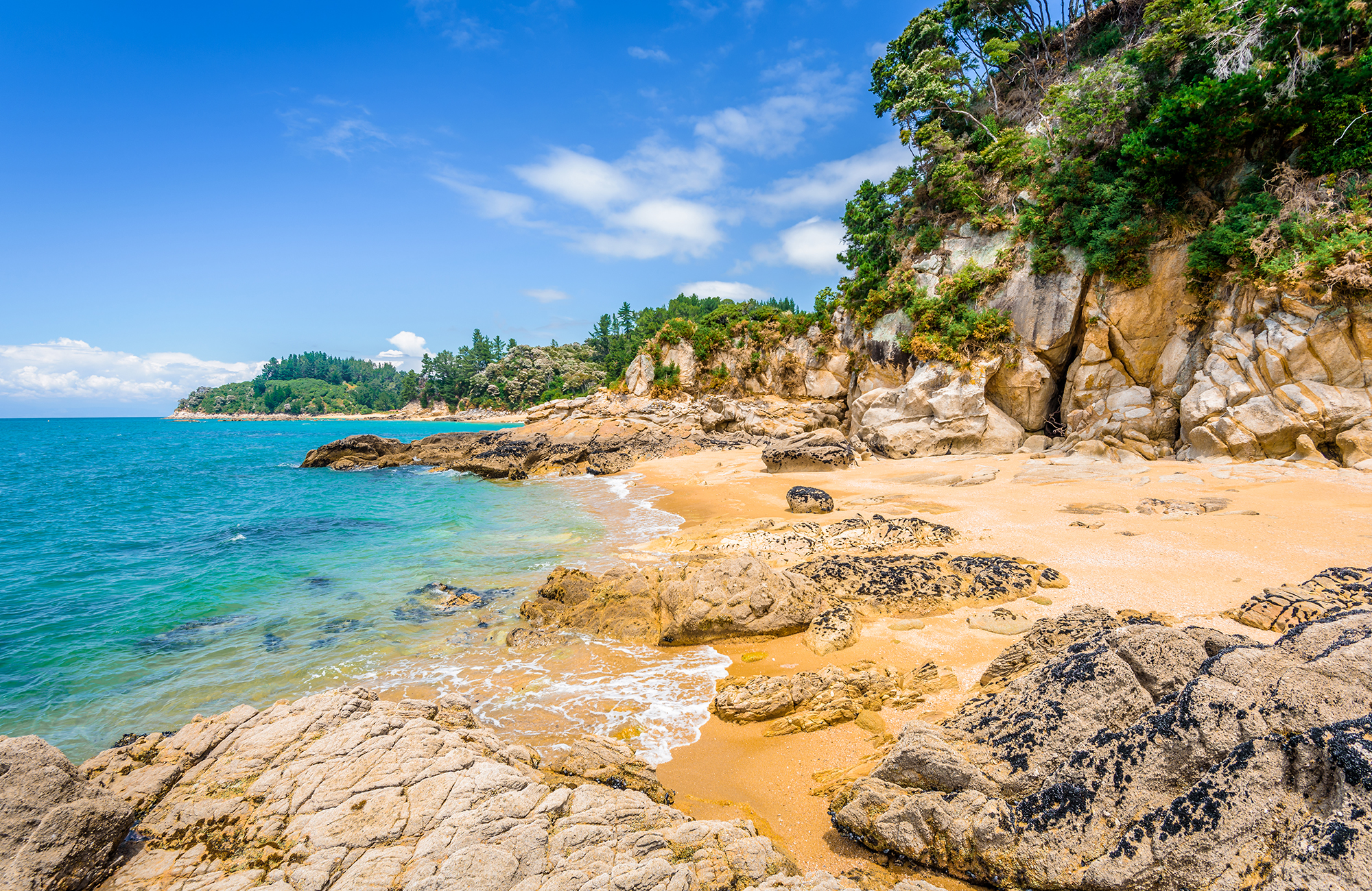 abel tasman park