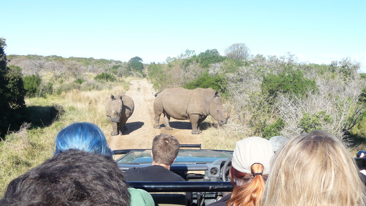 ellen_bjarnadottir_you2africa_hands_on_big_5