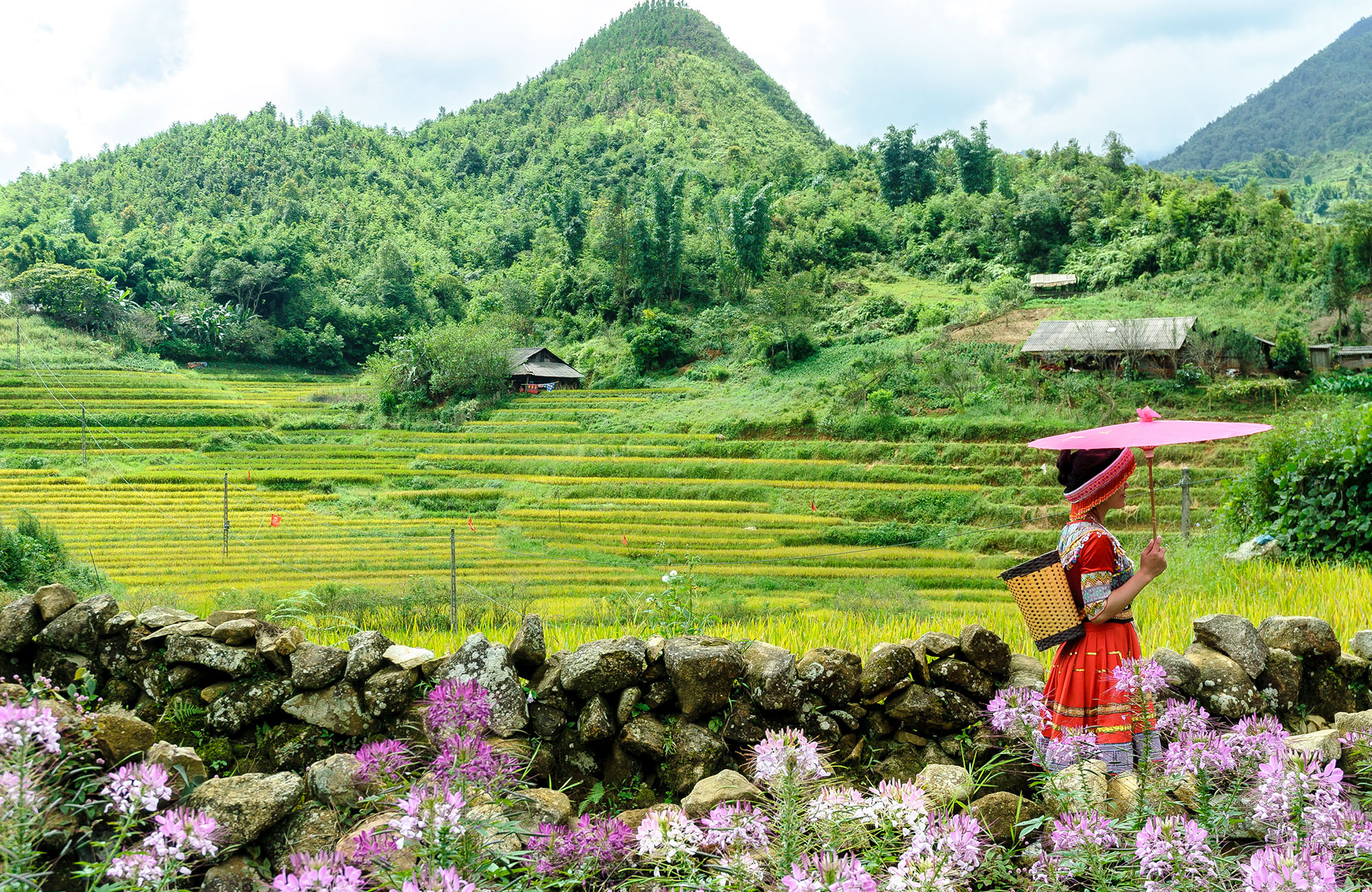 Vrouw in vallei in Sapa, Vietnam