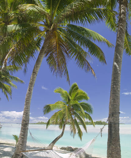 cook-islands-hammock-palm-trees-sidebar