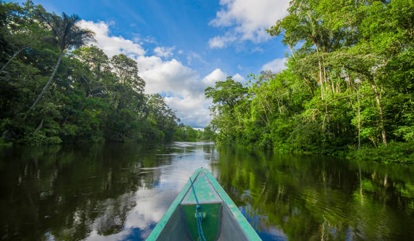 amazon-rainforest-ecuador-cuyabeno-national-park-boat-cover