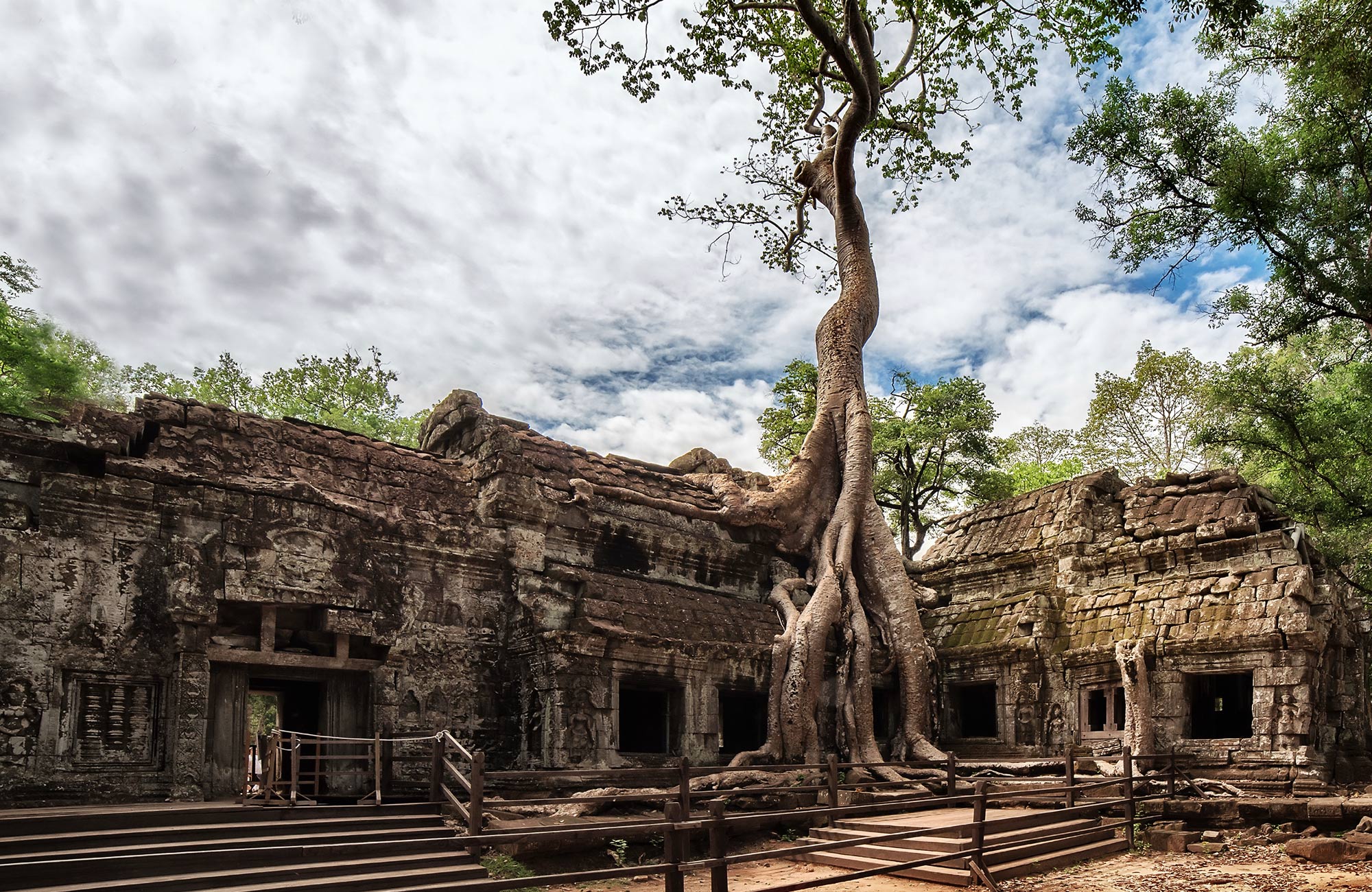 Historische stenen gebouwen op een binnenplaats van Angkor Wat in Cambodja, overgroeid door de massieve wortels van eeuwenoude bomen.