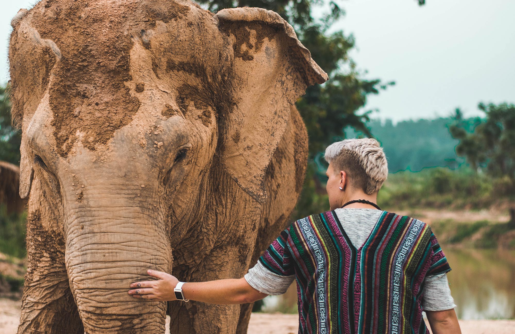 Olifant met verzorger | Vrijwilligerswerk in het buitenland met KILROY