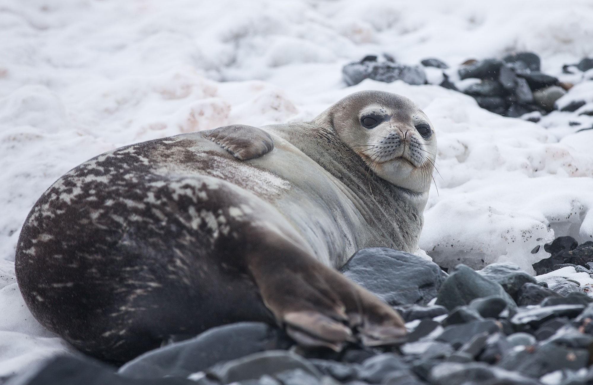 Reis naar Kerguelen samen met KILROY