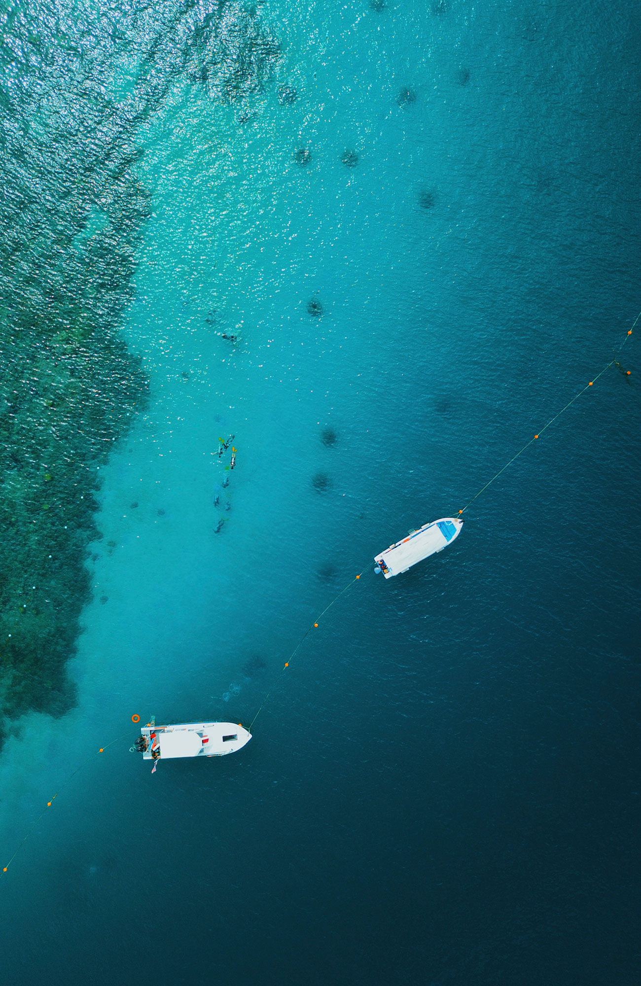Reizen naar Borneo met KILROY