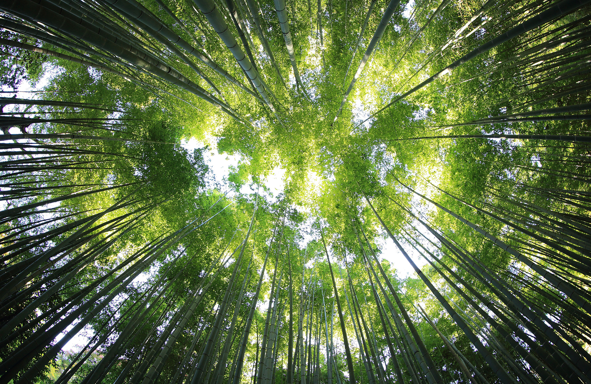 studietur med biologi