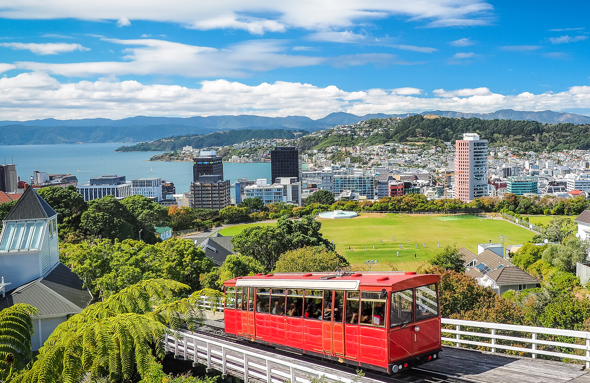 Wellington