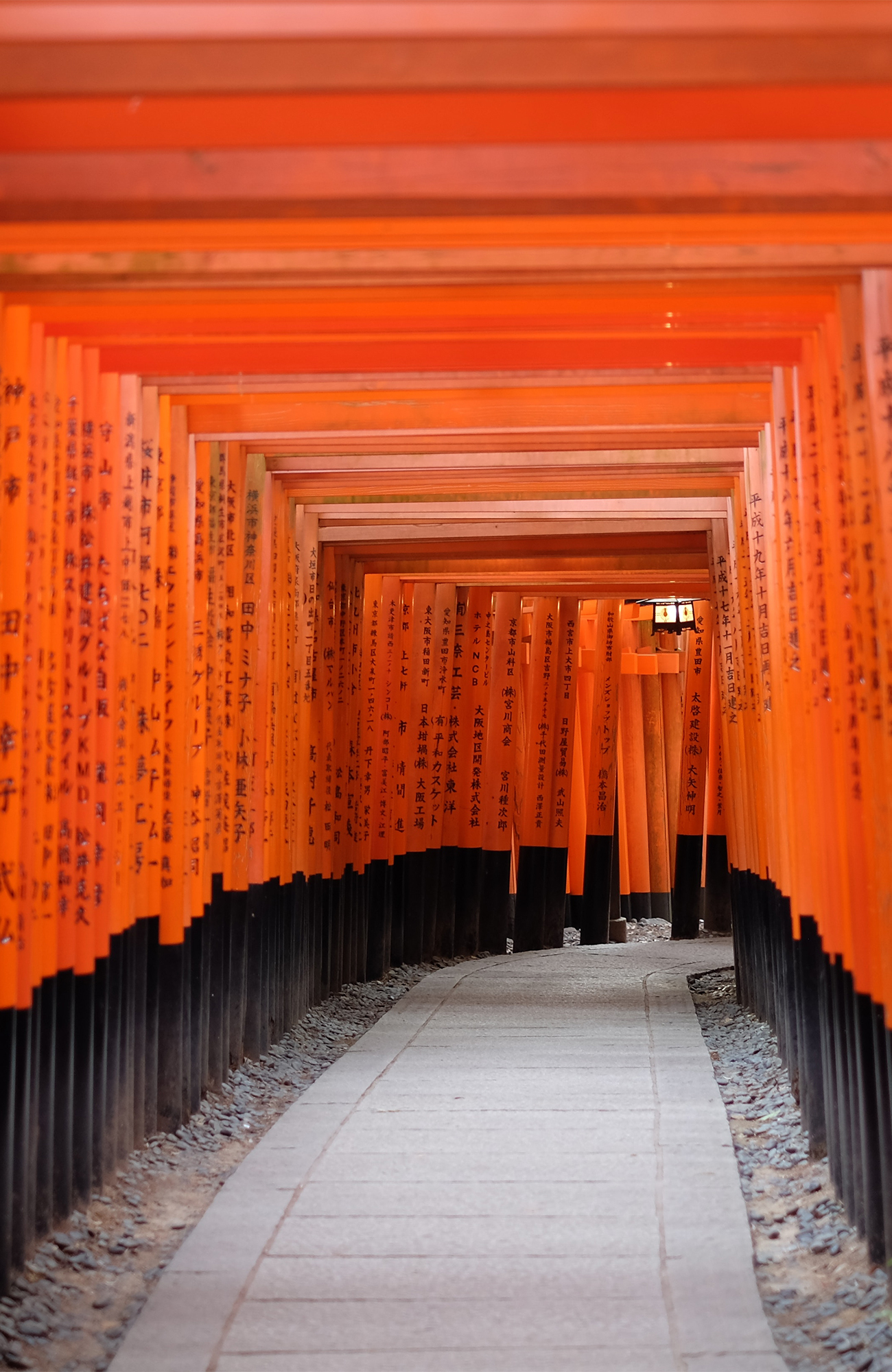 Fushimi Inari Shrine rode pilaren | Reizen naar Kyoto | KILROY
