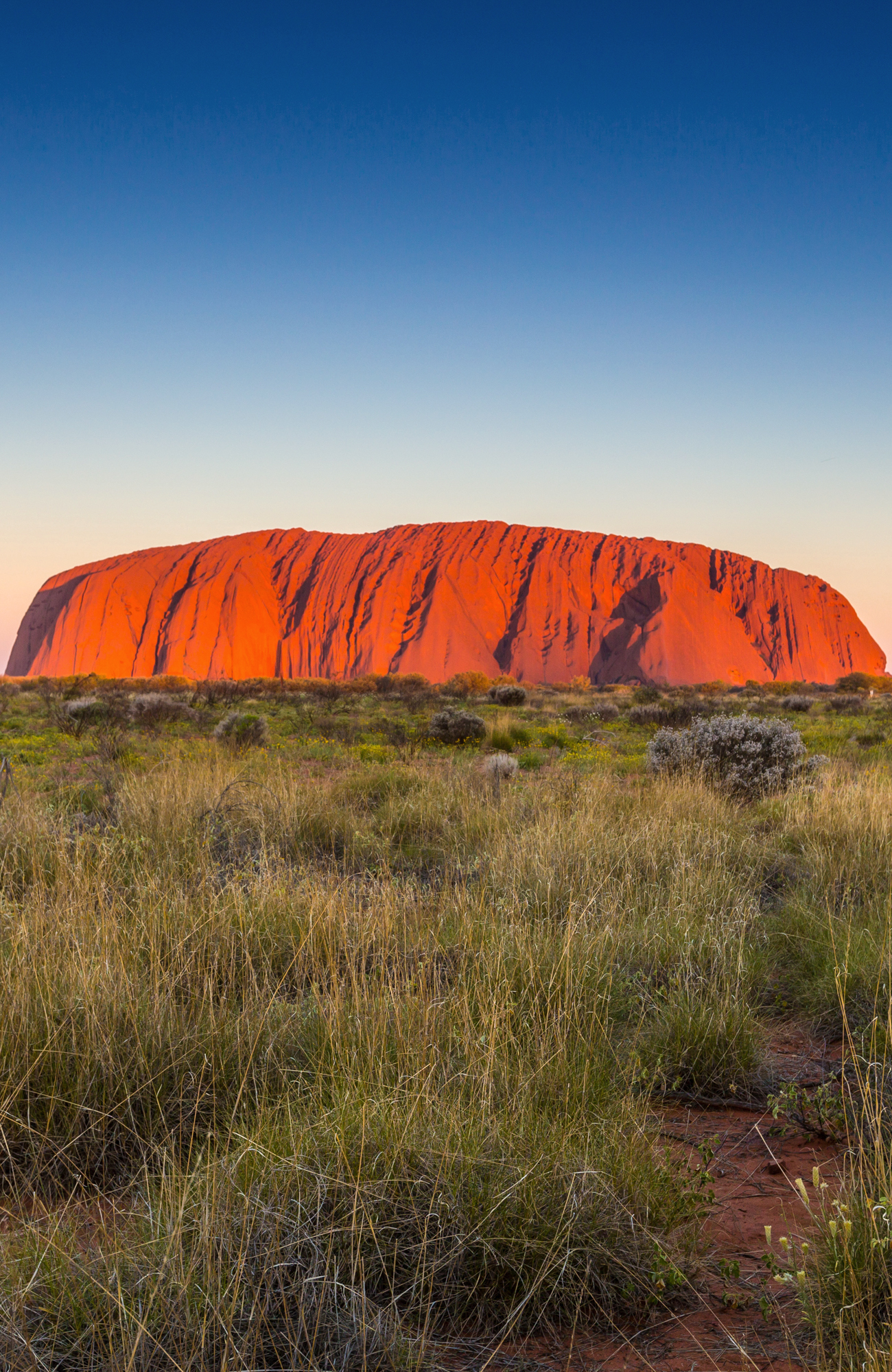 Reis naar Uluru - Ayers Rock Australia