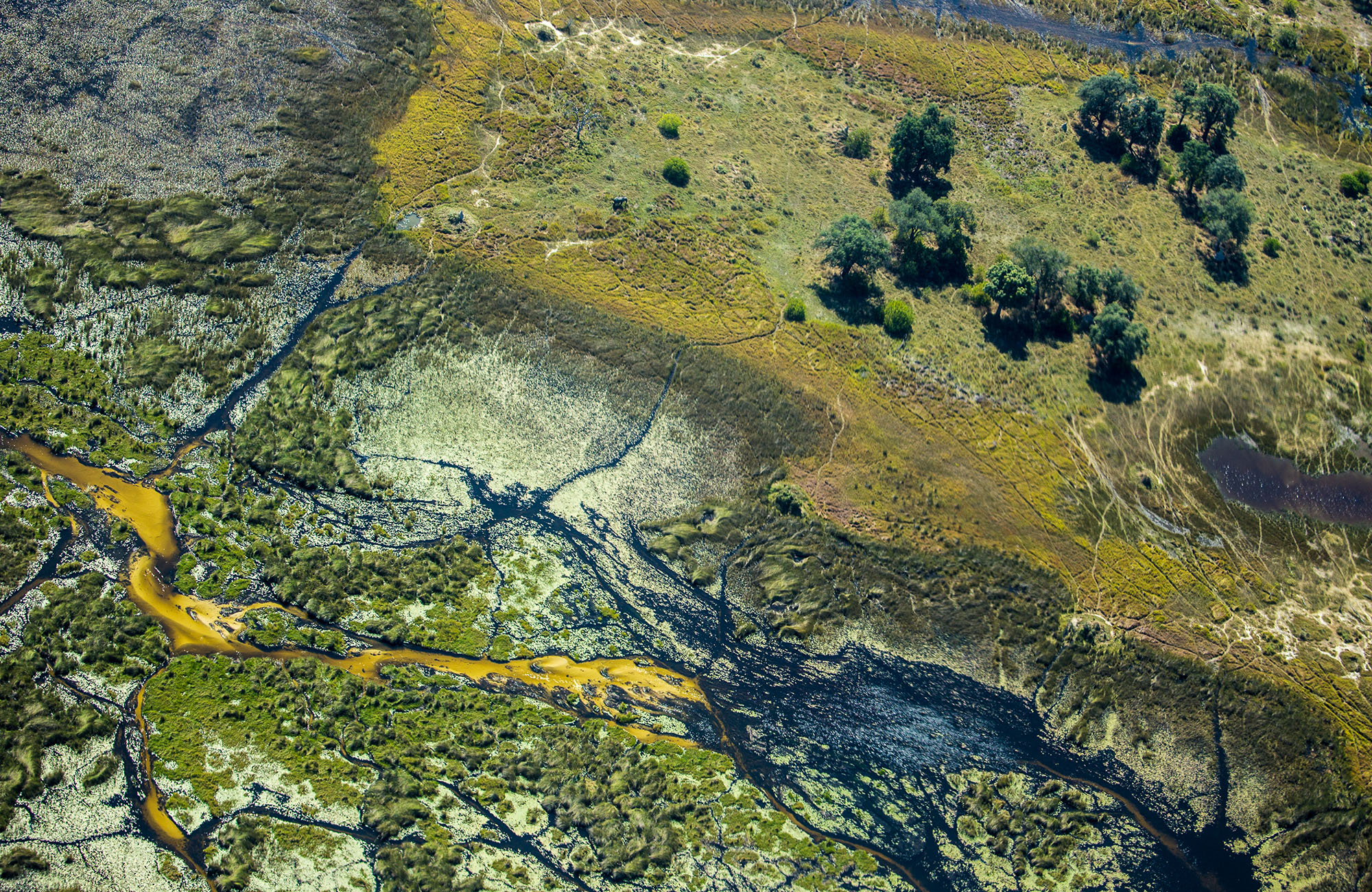 botswana-okavanga-delta-aerial-river-cover