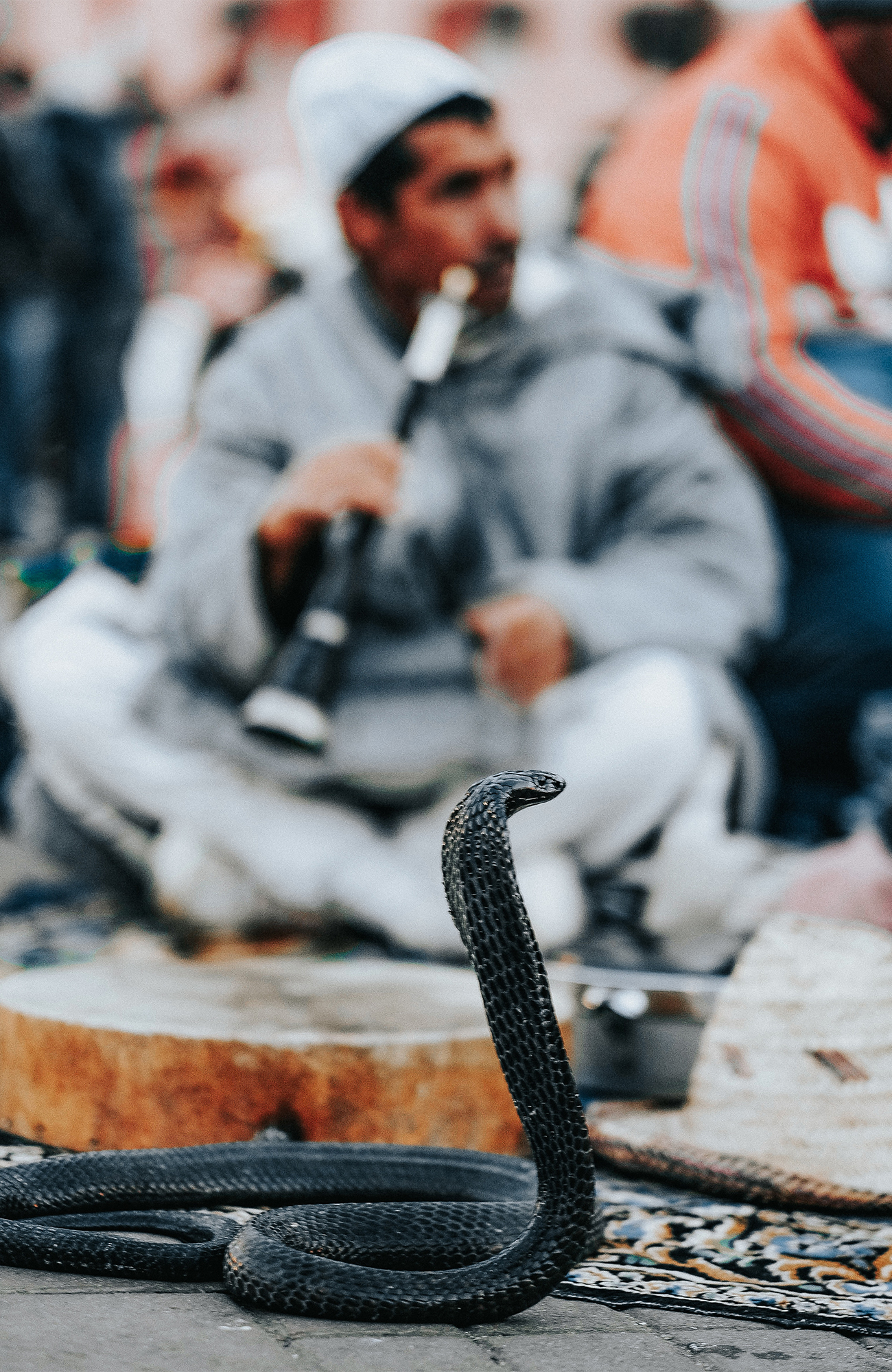 Reizen naar Marrakesh | KILROY