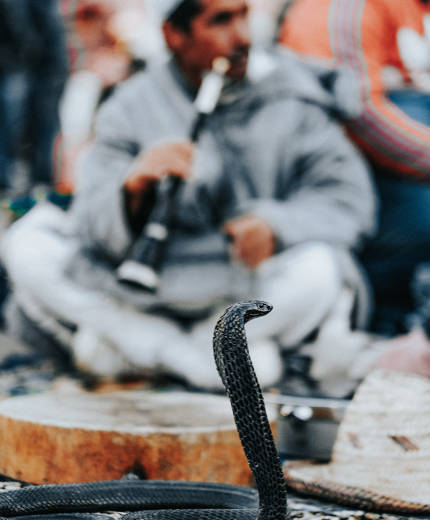 Reizen naar Marrakesh | KILROY