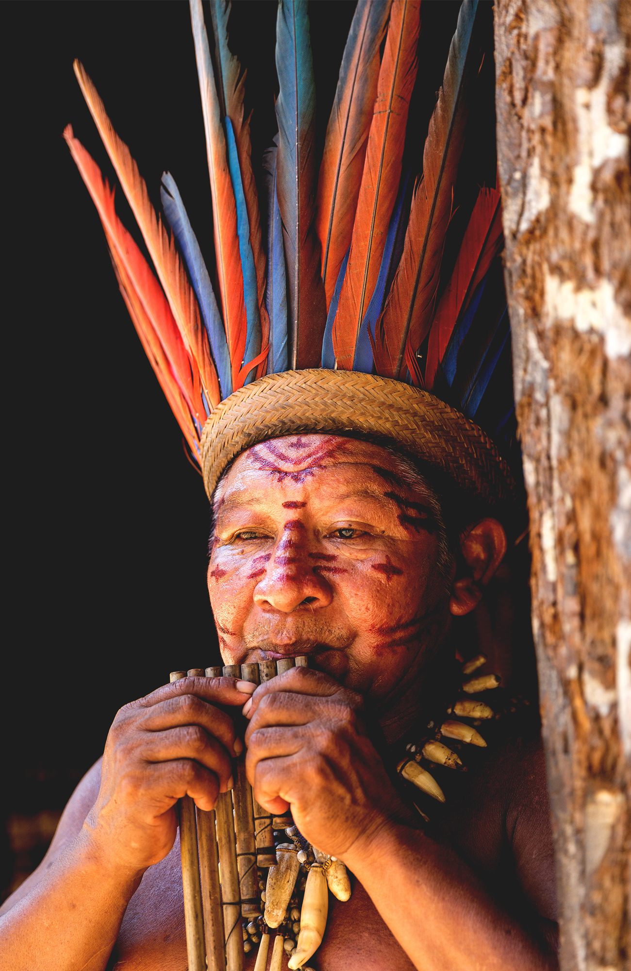 Reizen naar Manaus in de Amazone in Brazilië met KILROY