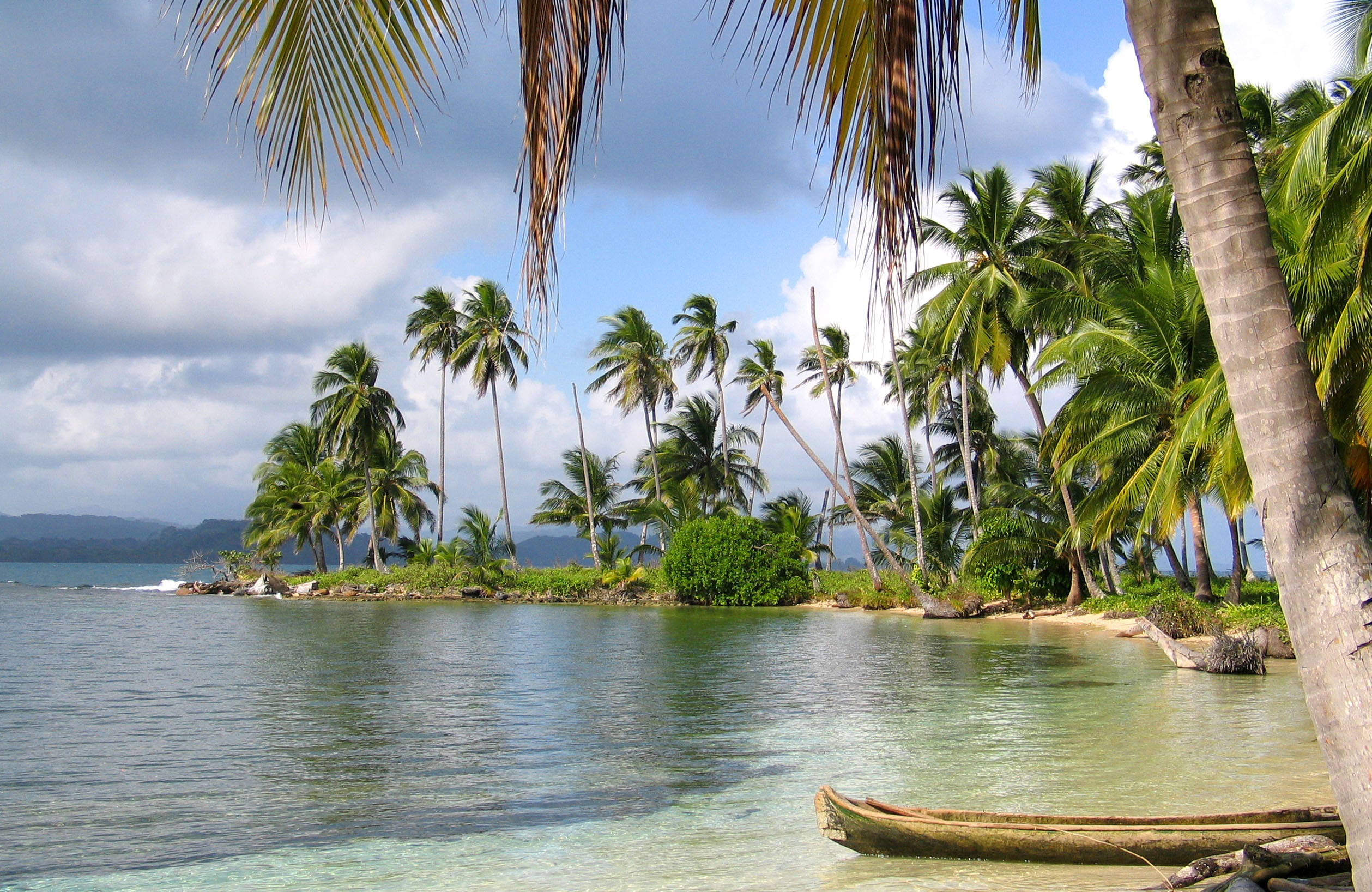 Palmbomen op het strand in Panama | Reizen 2020 | Beste bestemmingen 2020 | KILROY