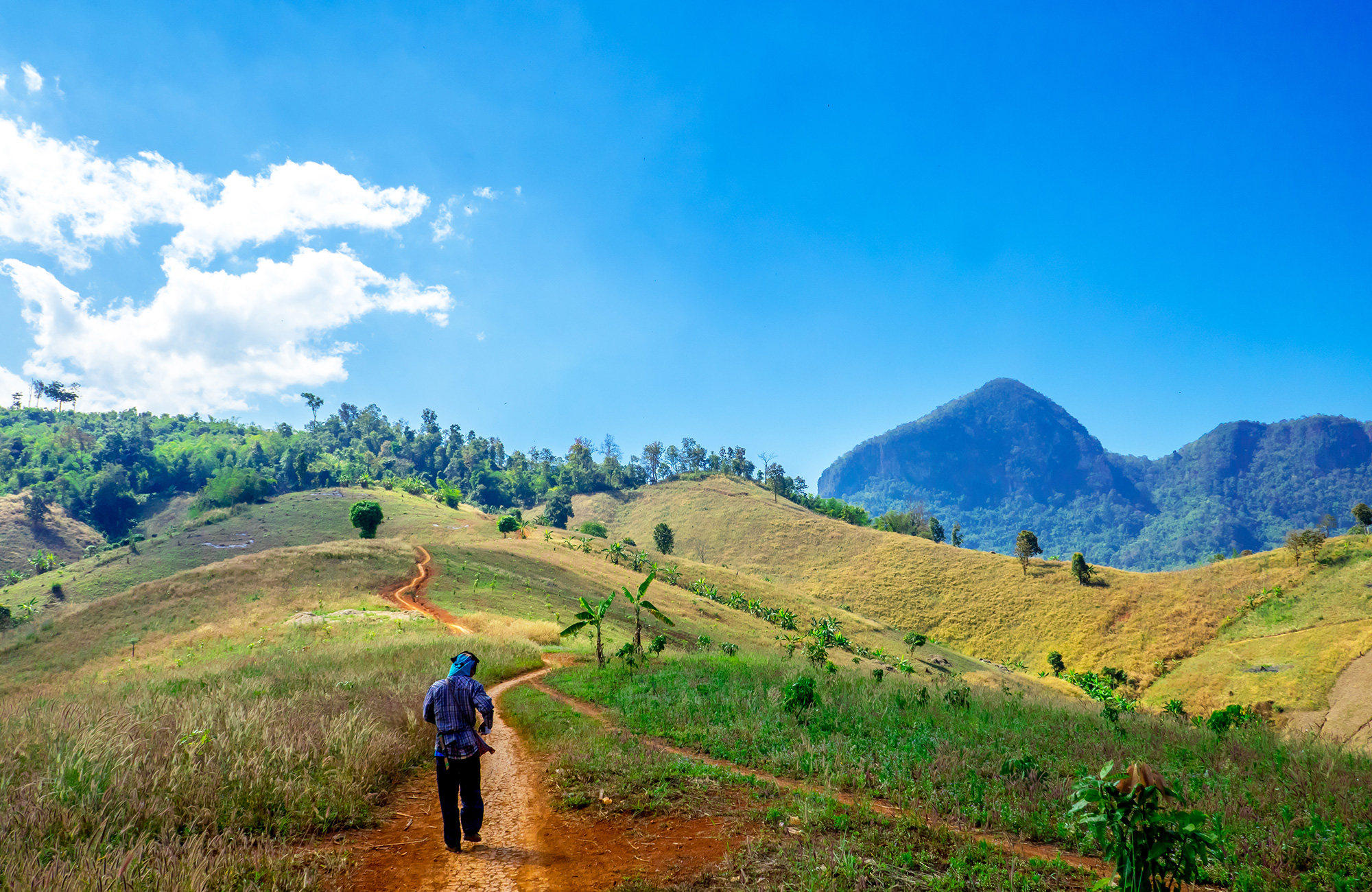 Groen landschap bij Chiang Mai | 5 tips voor reizen in Thailand | KILROY