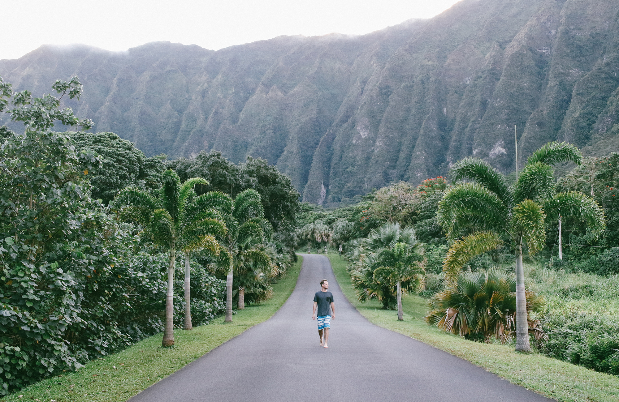 oahu-hawaii-road-walking-man