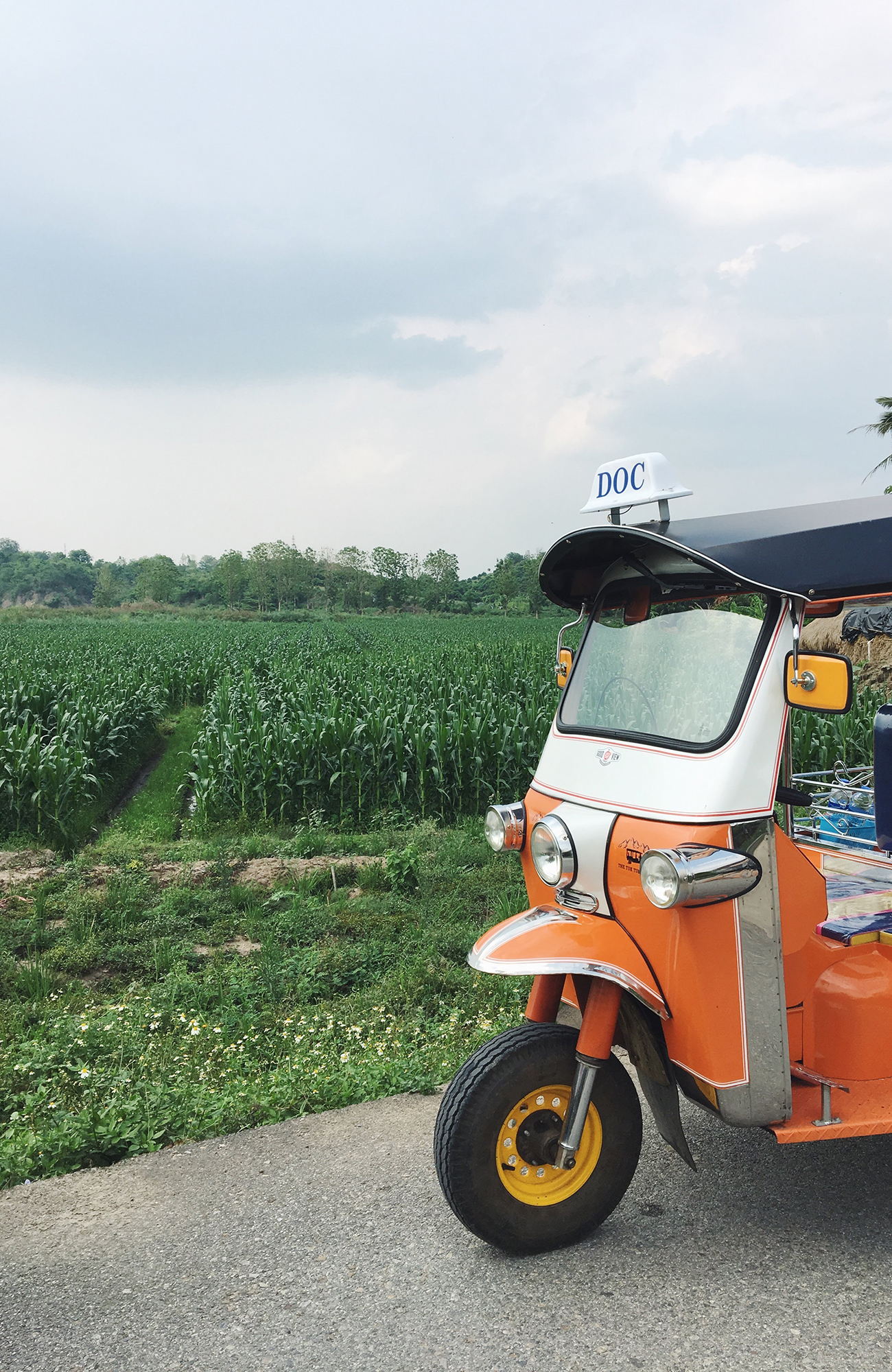 Reizen naar Chiang Mai met KILROY
