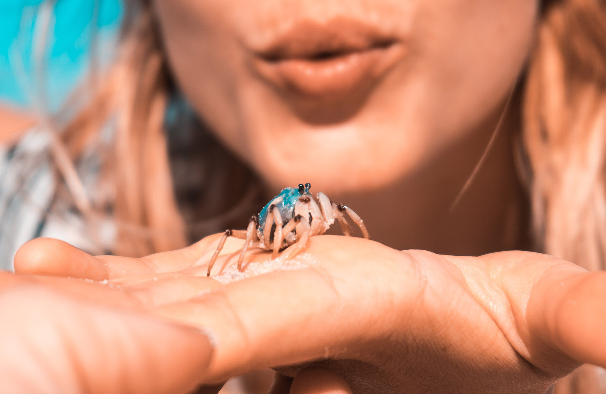 Vrouw met kleine krab op haar hand in Fraser Island, Australië