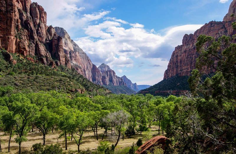 Zion National Park in Utah | KILROY