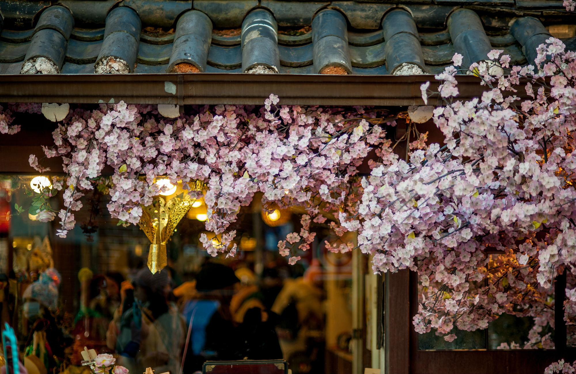 Kersenbloesems in Zuid-Korea