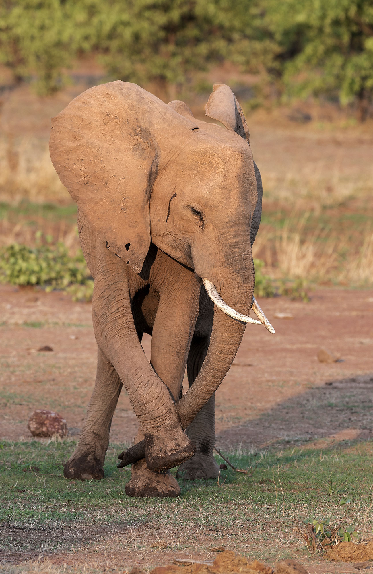 Reizen naar Zambia | KILROY