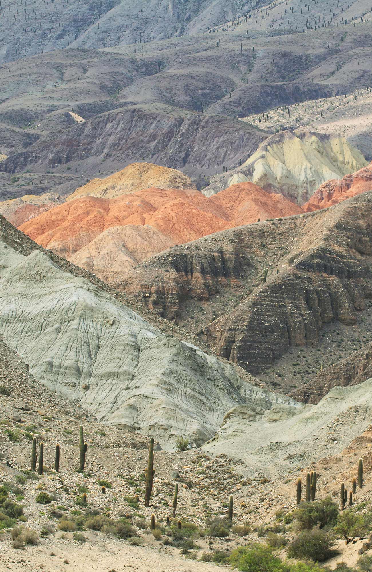 Reizen naar Salta, Argentinië met KILROY