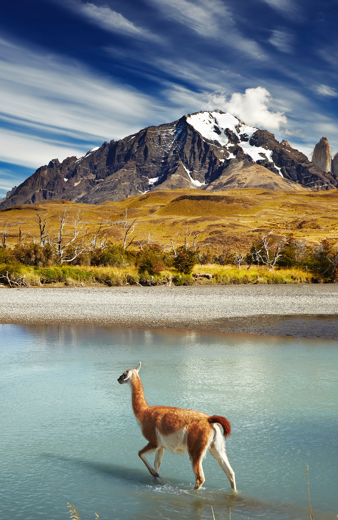 Reizen naar Punta Arenas (Torres del Paine) in Chili met KILROY