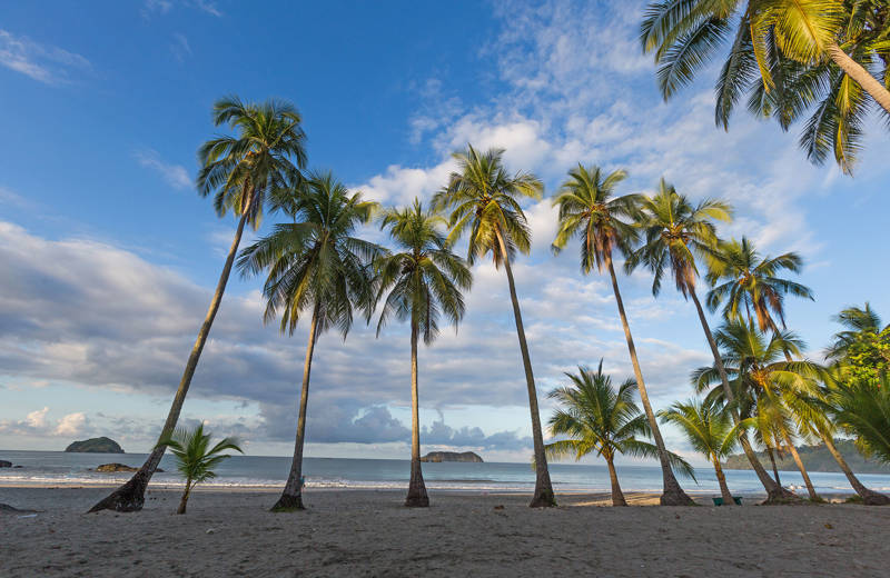 costa-rica-quepos-palm-beach