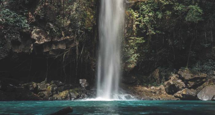 Ontdek de wilde flora en fauna van Costa Rica tijdens je reis | Backpacken Costa Rica | KILROY
