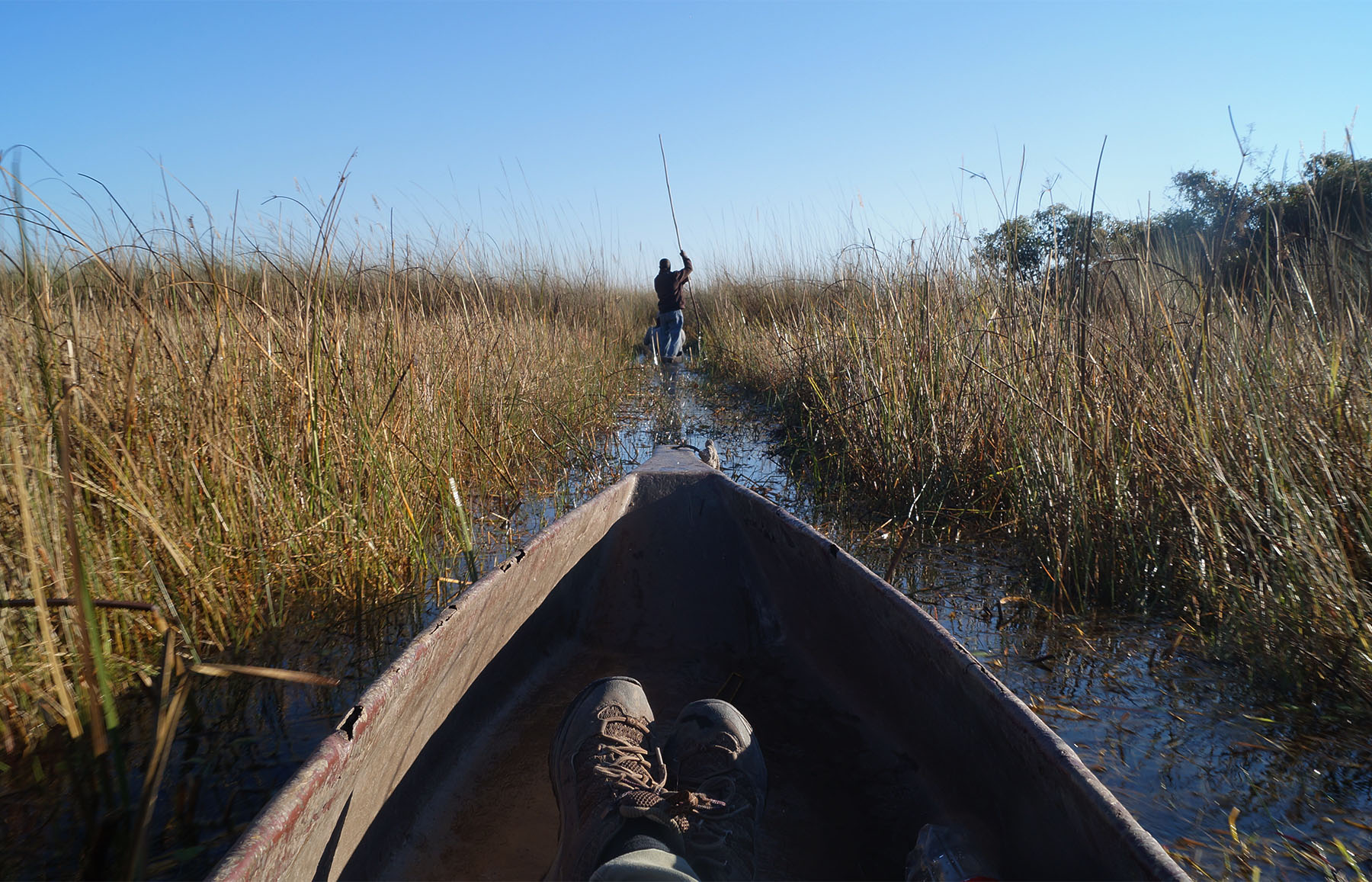 De Okavangodelta | Reizen naar Botswana | KILROY