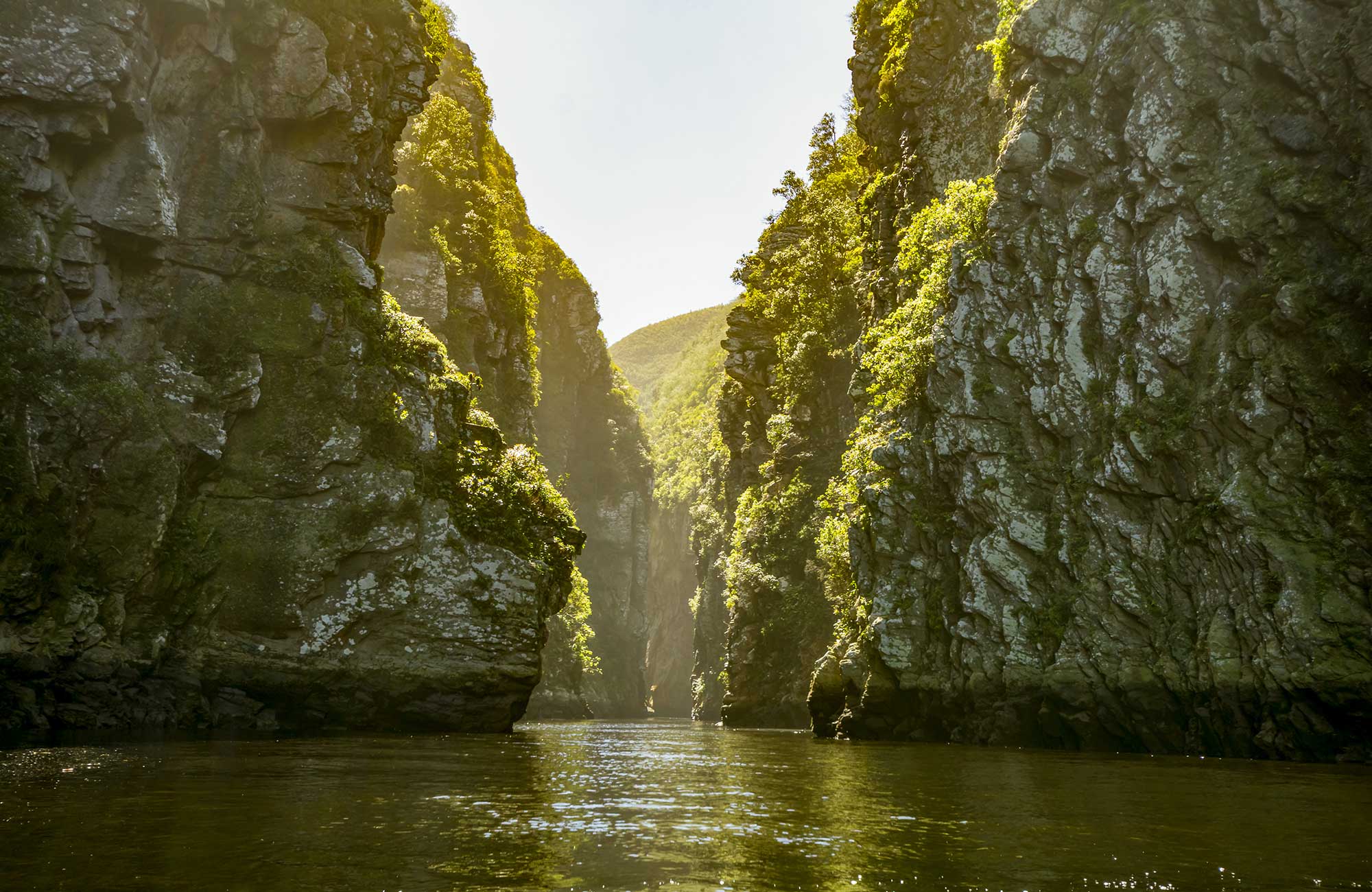 Rotskliffenin het Tsitsikamma National Park in Zuid-Afrika