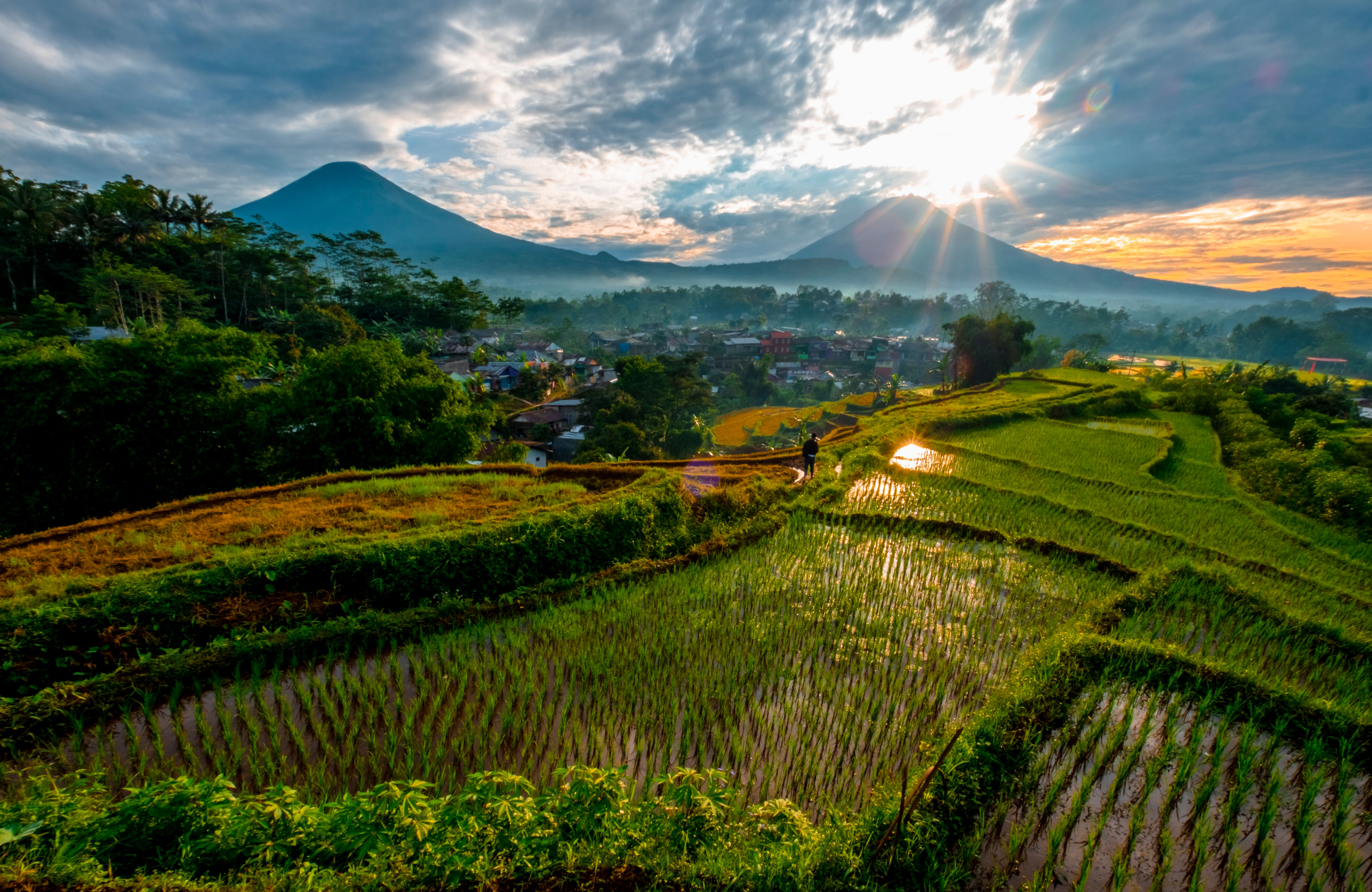 Mistige rijstvelden en bergen in Thailand